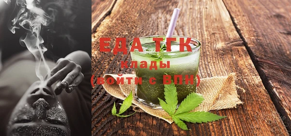 индика Волоколамск