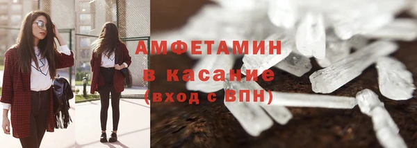 индика Волоколамск