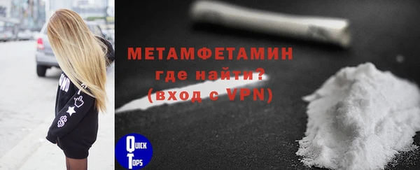 индика Волоколамск
