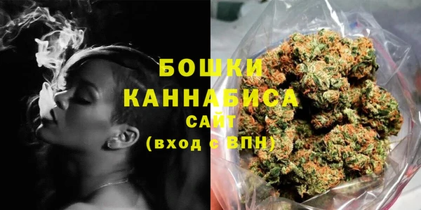 индика Волоколамск