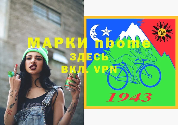 индика Волоколамск