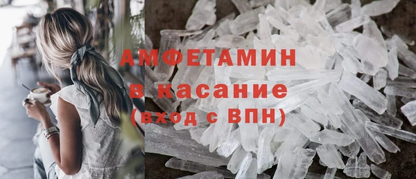 индика Волоколамск
