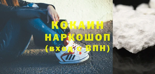 индика Волоколамск